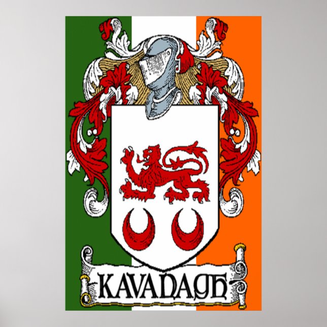 Kavanagh Jackar Arm Irish Flagga Print Poster (Framsidan)