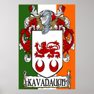 Kavanaugh Jackar Arm Irish Flagga Print Poster