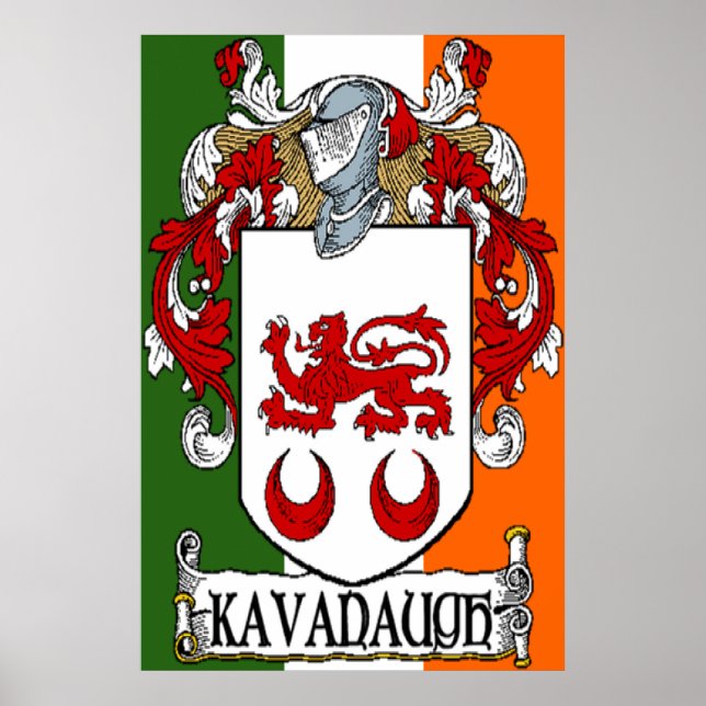 Kavanaugh Jackar Arm Irish Flagga Print Poster (Framsidan)