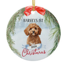 Kavoodle Cavapoo Cavadoodle