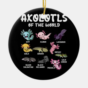 Kawaii Axolotls Älskare Oc Julgransprydnad Keramik