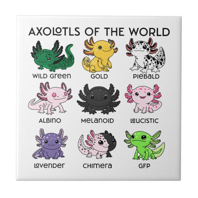 Kawaii Axolotls of the Worlds Kakelplatta (Framsidan)