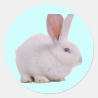 Kawaii Cute Bunny Runt Klistermärke