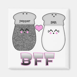 Kawaii Salt n Pepper BFF Magnet