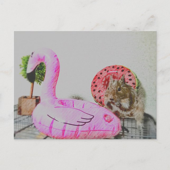 Kawaii ♡ smådjur vykort (Framsida)