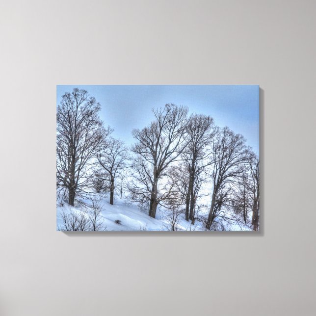 Kawartha Winter Forest Träd Nature Scenia Print Canvastryck (Framsida)