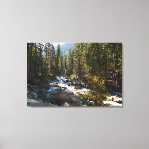 Kaweahfloden i Sequoia National Park Canvastryck