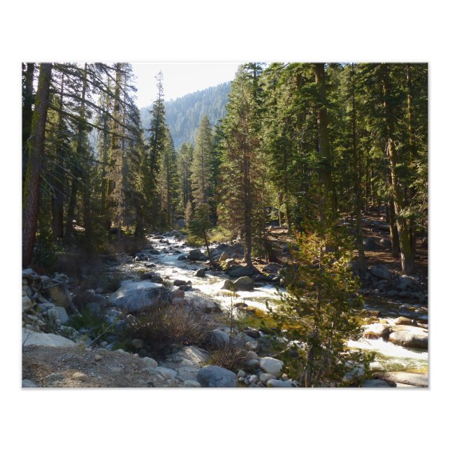 Kaweahfloden i Sequoia National Park Fototryck (Framsidan)