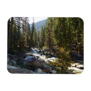 Kaweahfloden i Sequoia National Park Magnet