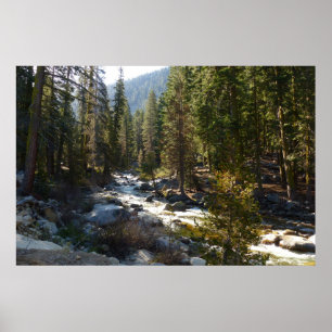 Kaweahfloden i Sequoia National Park Poster