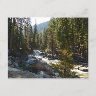 Kaweahfloden i Sequoia National Park Vykort
