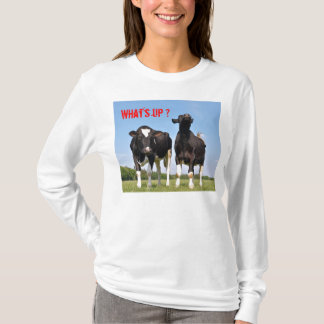 Kaxiga kor tee