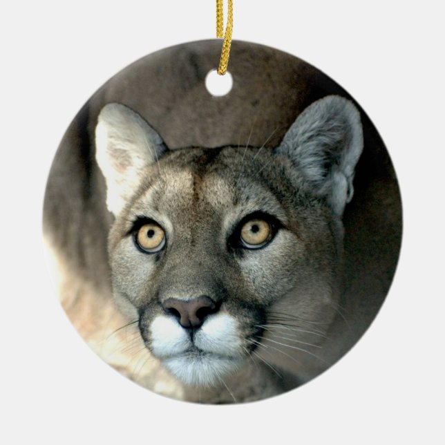 Kaya prydnad julgransprydnad keramik (Framsidan)