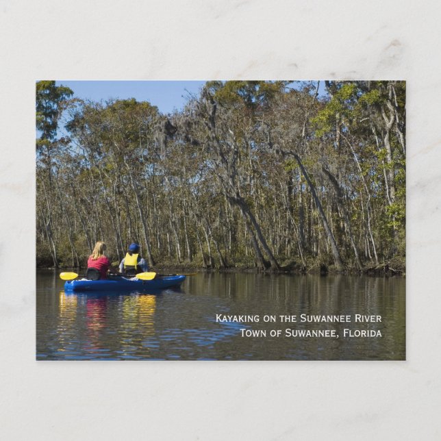 Kayaking the Suwannee River Postcard Vykort (Framsida)