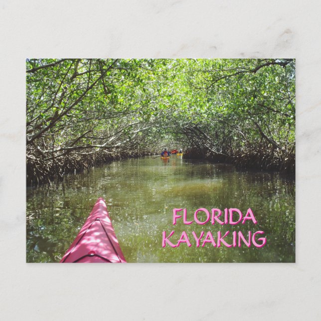 Kayaking Through the Mangroves Florida Adventure Vykort (Framsida)