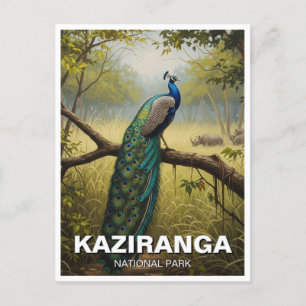 Kaziranga National Park Assam India Travel Vykort