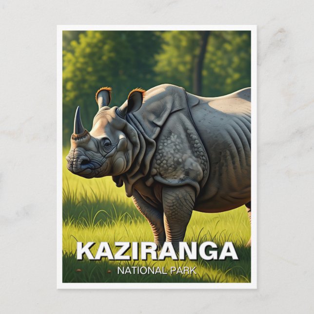 Kaziranga National Park Assam India Travel Vykort (Framsida)