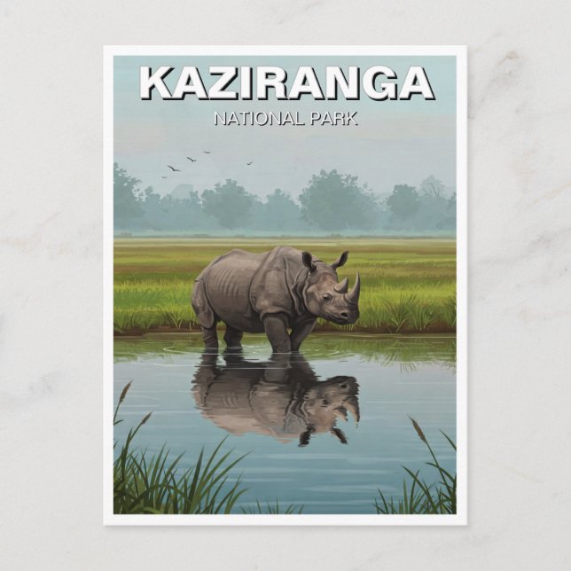 Kaziranga National Park Assam India Travel Vykort (Framsida)
