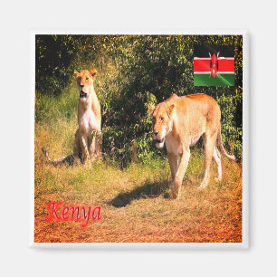 KE005 KENYA, Lejon, Afrika, Fridge Magnet