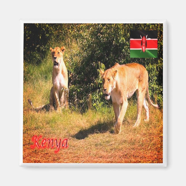 KE005 KENYA, Lejon, Afrika, Fridge Magnet (Framsidan)
