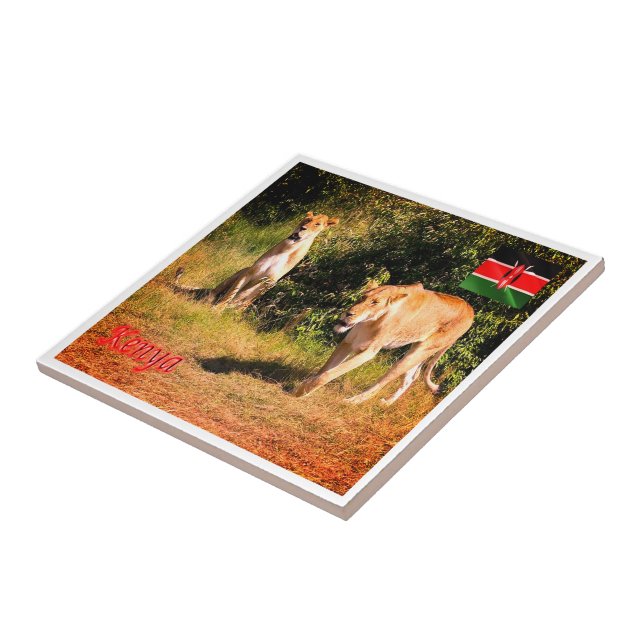 KE005 KENYA, Lejon, Afrika Kakelplatta (Sidan)
