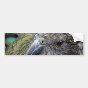 Kea Bildekal