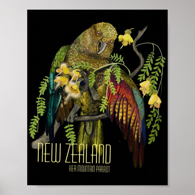 Kea New Zealand Mountain Parrot Poster (Framsidan)