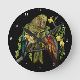 Kea New Zealand Mountain Parrot Rund Klocka