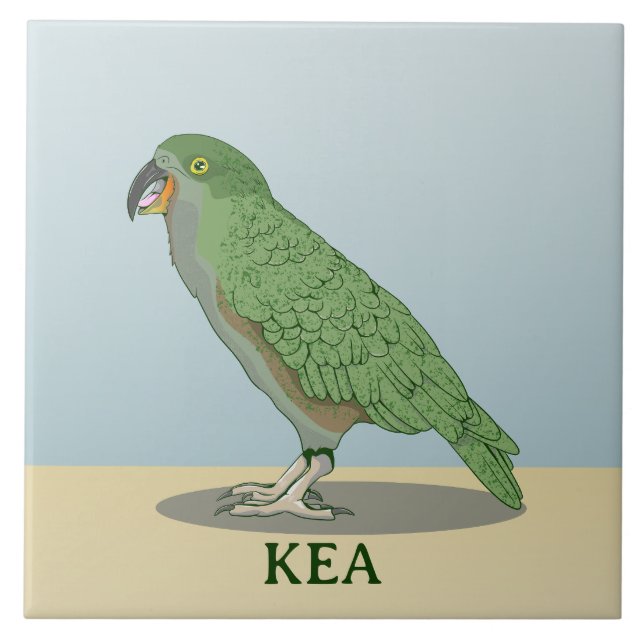 Kea Nya Zeeland Bird Kakelplatta (Framsidan)