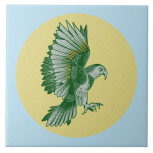 Kea Nya Zeeland Bird Kakelplatta