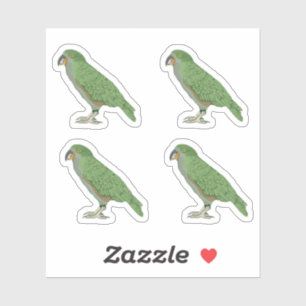 Kea Nya Zeeland Bird Klistermärken