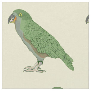 Kea Nya Zeeland Bird Tyg