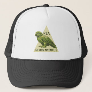 Kea nyzeeländsk fågel keps