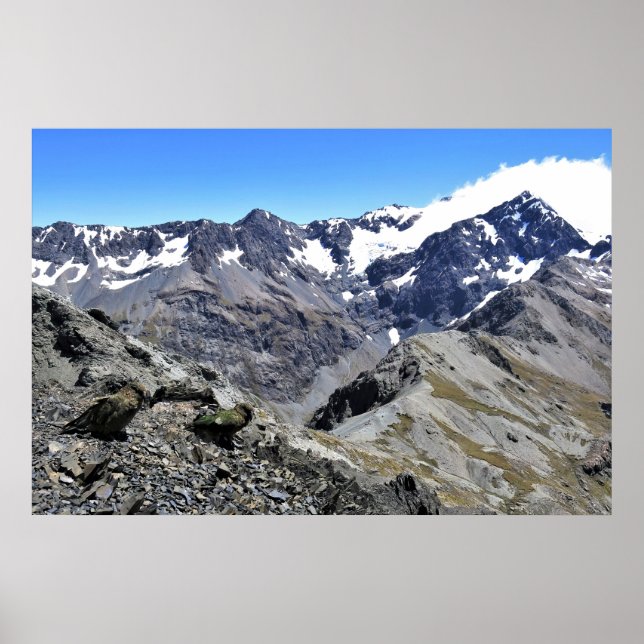 Kea Pair på Avalanche Peak Poster (Framsidan)