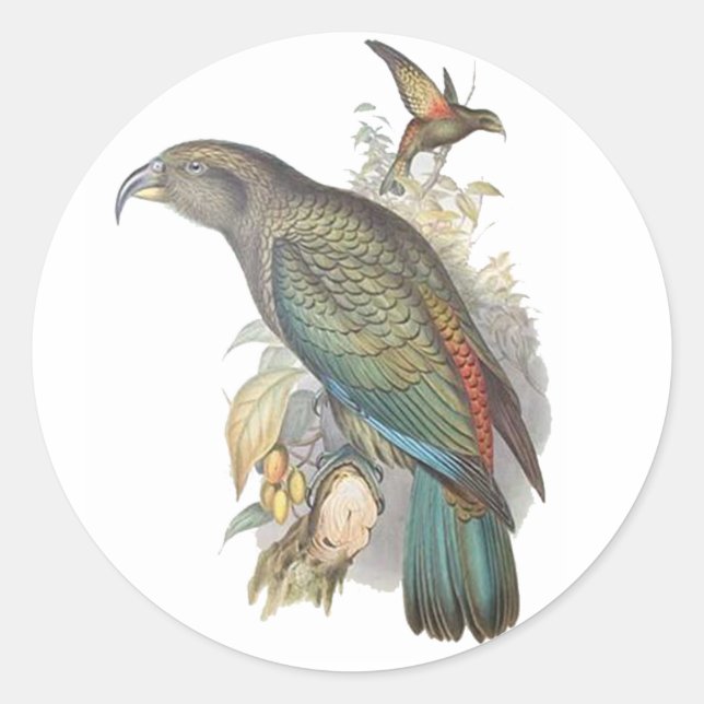 Kea Runt Klistermärke (Framsida)