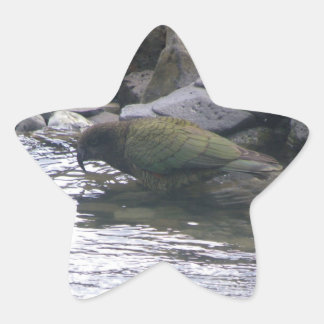Kea Stjärnformat Klistermärke