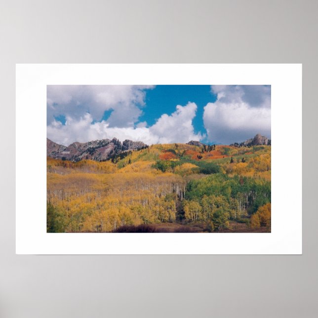 Kebler Pass Fall 2001 Poster (Framsidan)