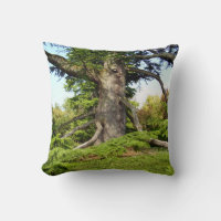 Kedar of Libanon Träd Throw Cushion