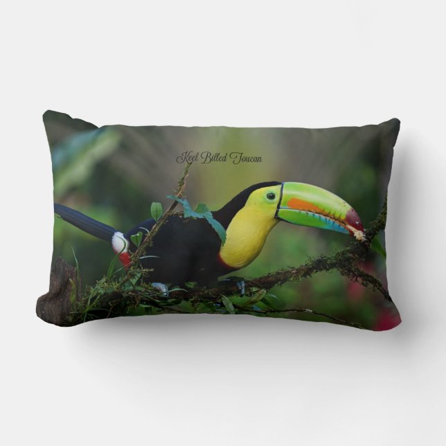 Keel Billed Toucan Bird Lumbarkudde (Framsida)