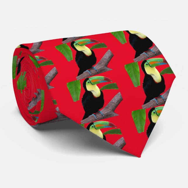 Keel-billed Toucan Slips (Rullad)