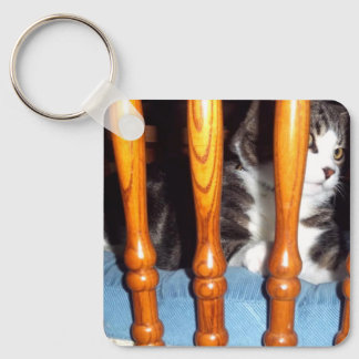 Keeno bakom Pub nyckelkedja Nyckelring