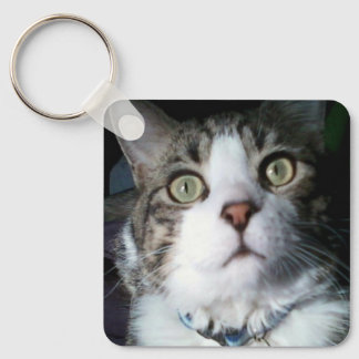 Keeno hörde jag Treats Keychain Nyckelring