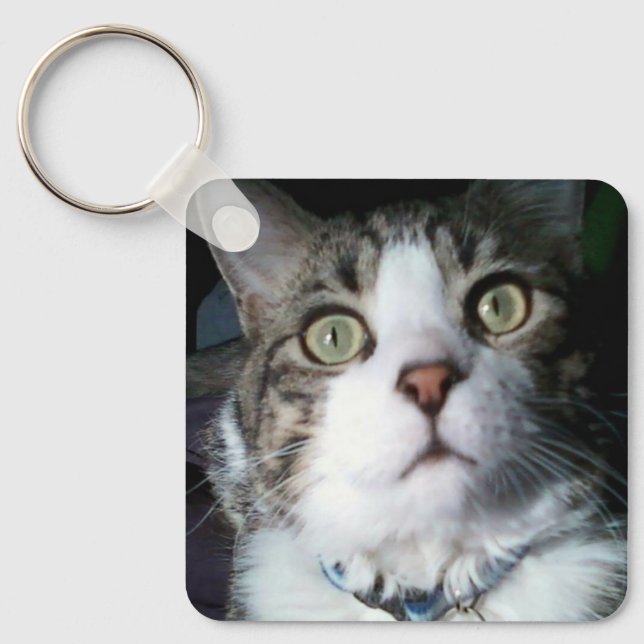Keeno hörde jag Treats Keychain Nyckelring (Framsida)