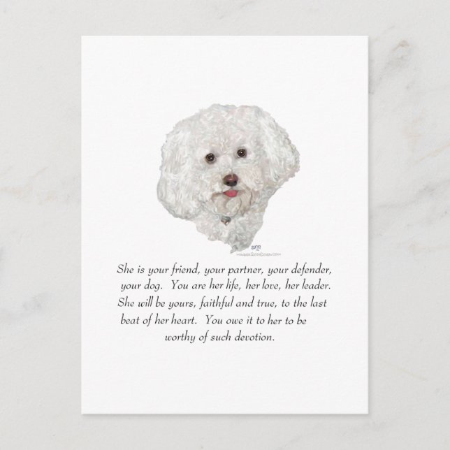 Keepie, kvinnlig Hund Vykort (Framsida)