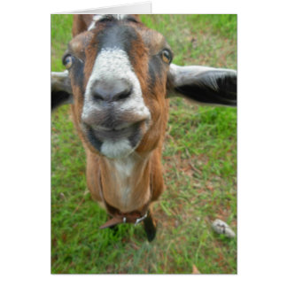 keepin mitt mellanrum! Mariah getkortet Hälsningskort