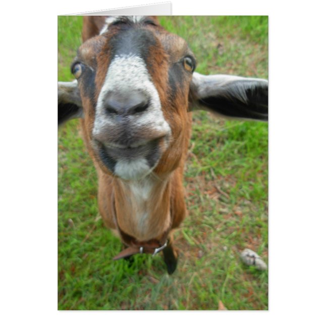 keepin mitt mellanrum! Mariah getkortet Hälsningskort (Framsidan)