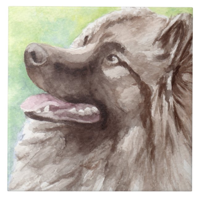 Keeshond akvarellporträtt kakelplatta (Framsidan)