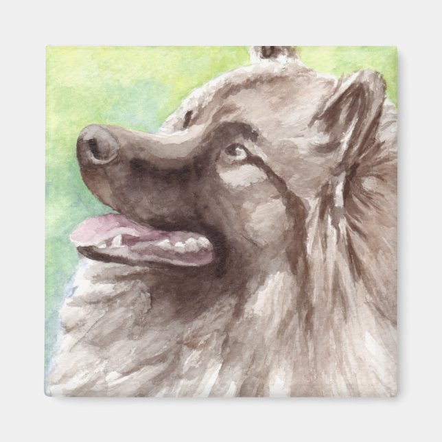 Keeshond akvarellporträtt magnet (Framsidan)
