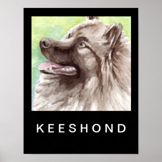 Keeshond akvarellporträtt poster