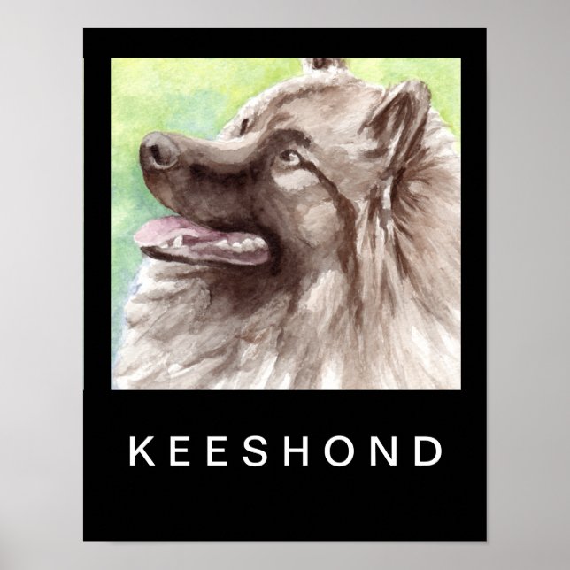 Keeshond akvarellporträtt poster (Framsidan)